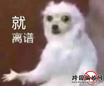 w7.webp.png