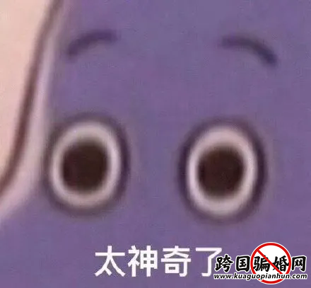w2.webp.png