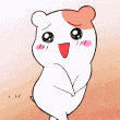 w5.gif
